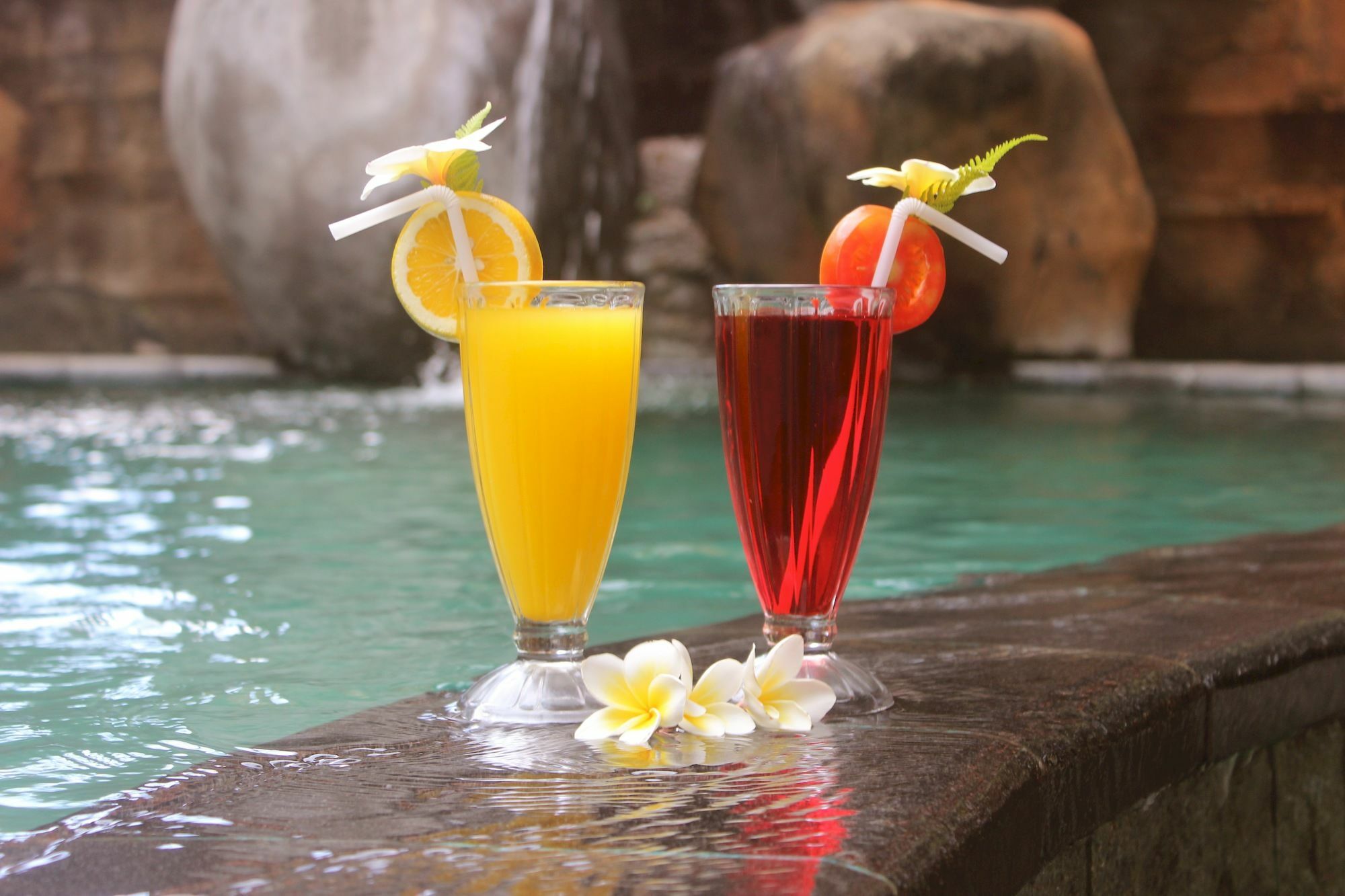 Hotel Chonos Lovina Zewnętrze zdjęcie